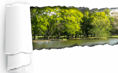 Make 2026 your best year yet… Naturally